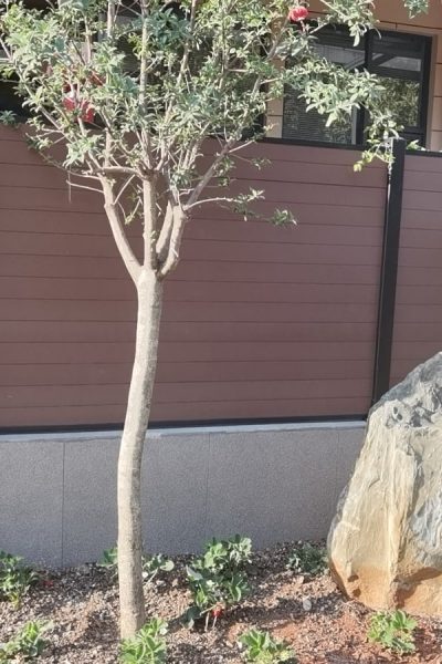 Composite Fencing - 8